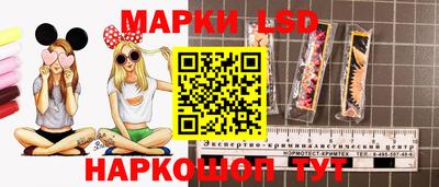 ECSTASY Будённовск