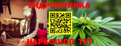 ECSTASY Будённовск