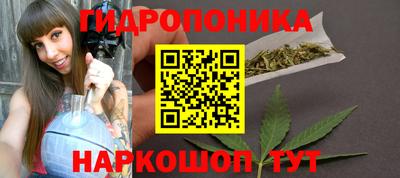ECSTASY Будённовск